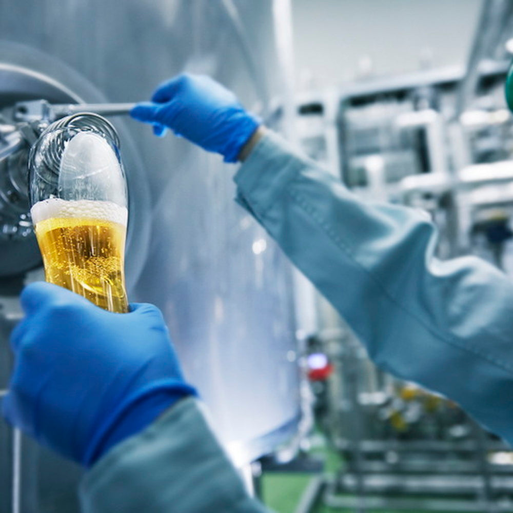 FUJI PREMIUM BREWING　 ラガー・エール飲み比べセット(2本)