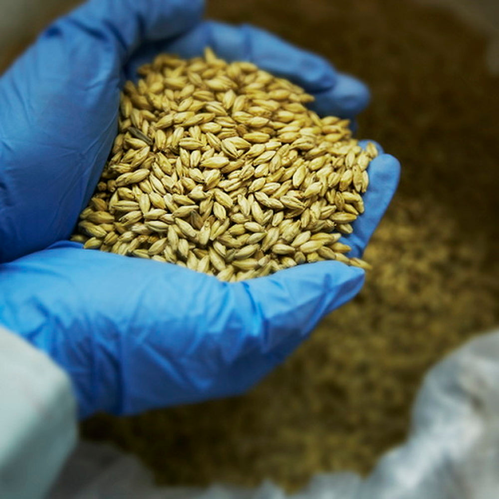 FUJI PREMIUM BREWING　 ラガー・ホワイト飲み比べセット(2本)