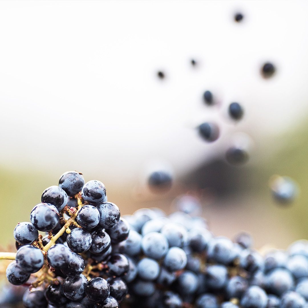 クレスマン ボルドー ハーフボトル フランス(赤ワイン)