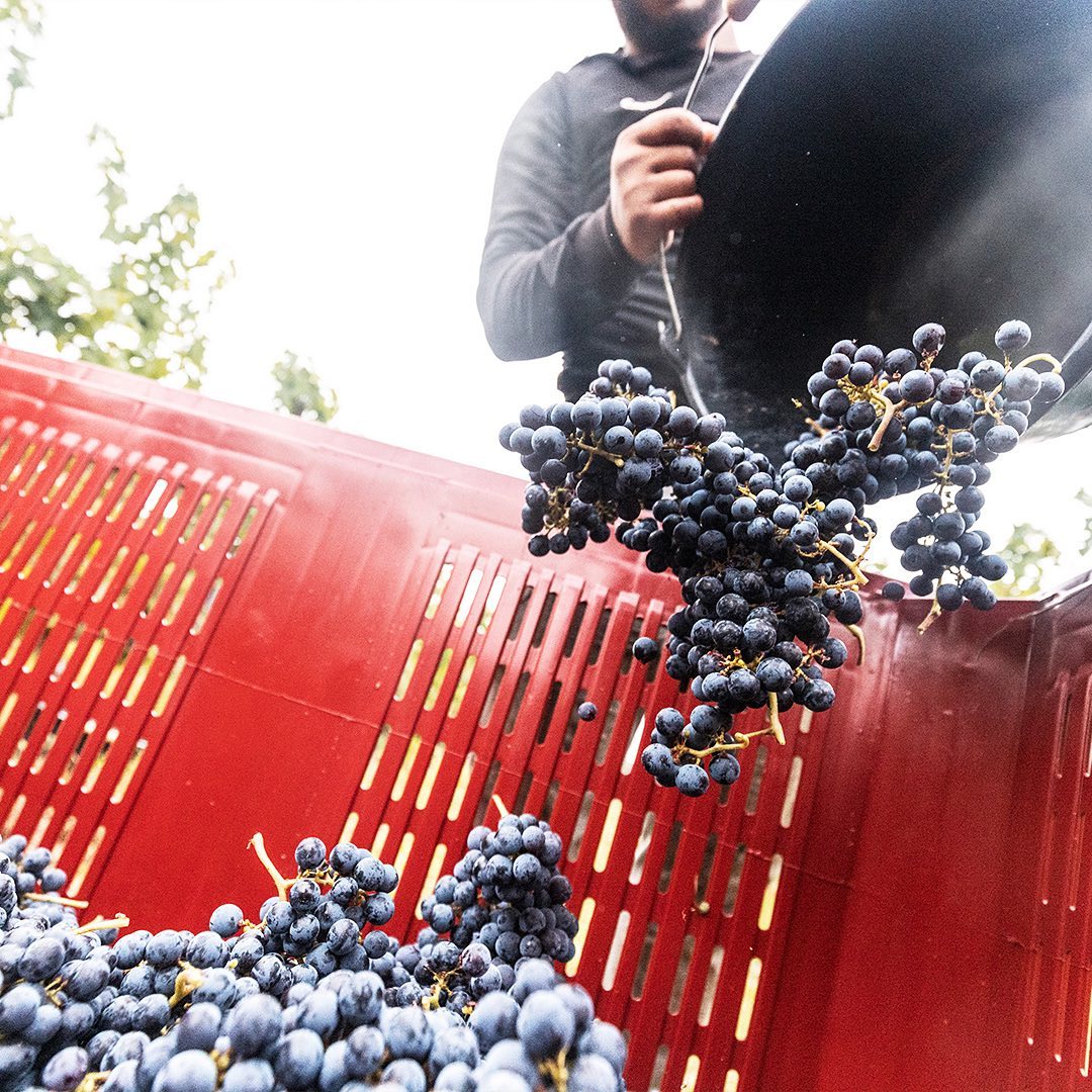 クレスマン ボルドー ハーフボトル フランス(赤ワイン)