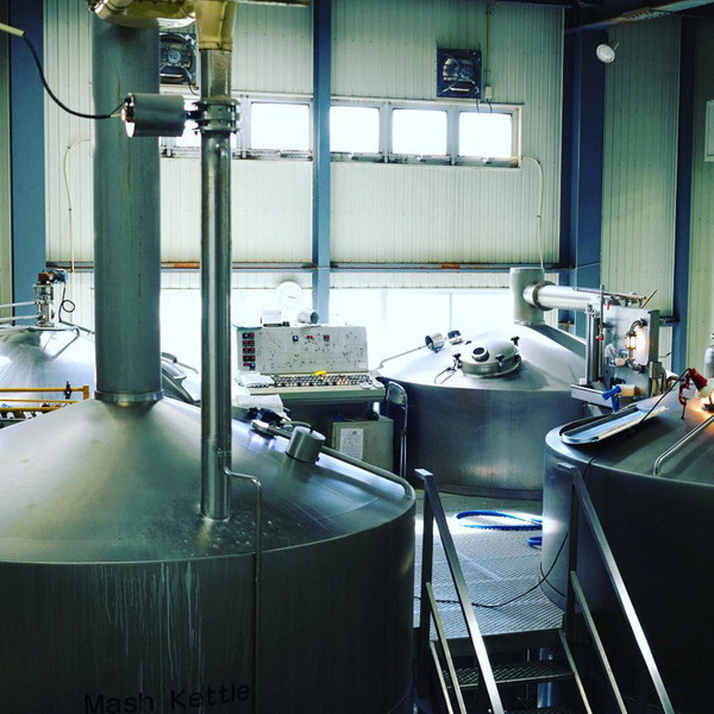 新潟クラフトビール エチゴビール のんびりふんわり白ビール 2本セット(缶350ml)