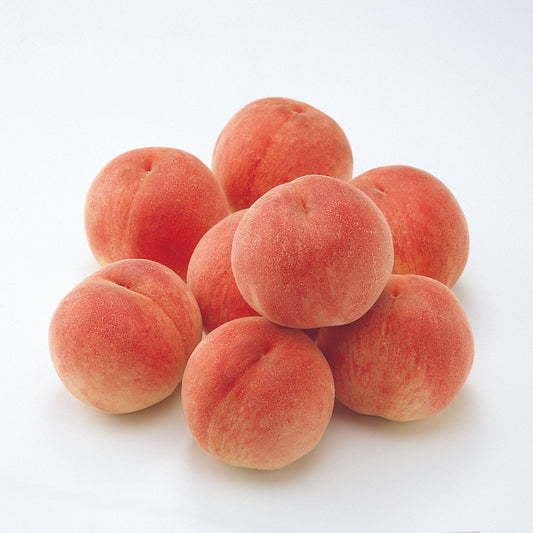 山梨県産　桃(1.5kg)