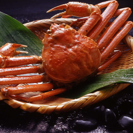 ボイルズワイガニ姿 （1尾）